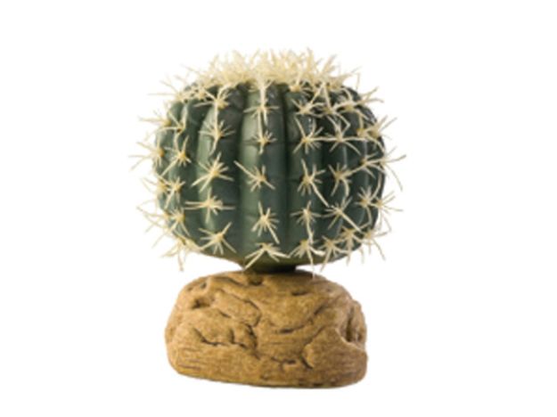 Picture of Rostlina EXO TERRA Barrel Cactus 9 cm 