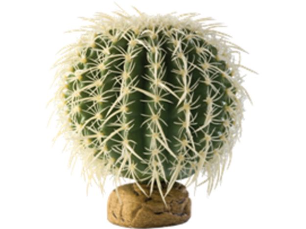 Picture of Rostlina EXO TERRA Barrel Cactus 17 cm 