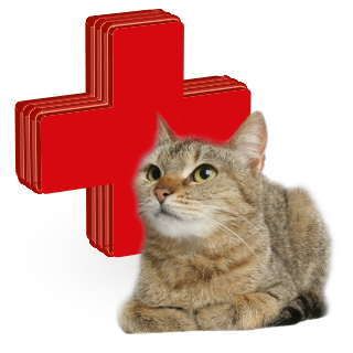 Picture for category vitamíny, léčiva pro kočky