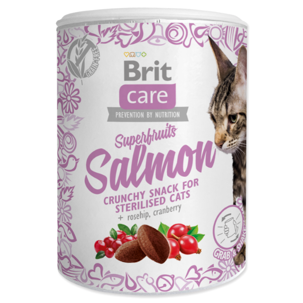 BRIT Care Cat Snack Superfruits Salmon 100g