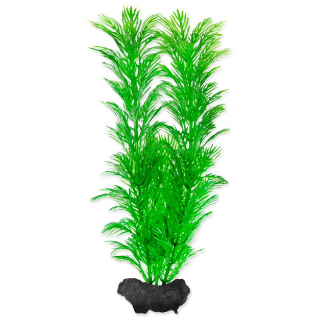 Rostlina TETRA Green Cabomba M 