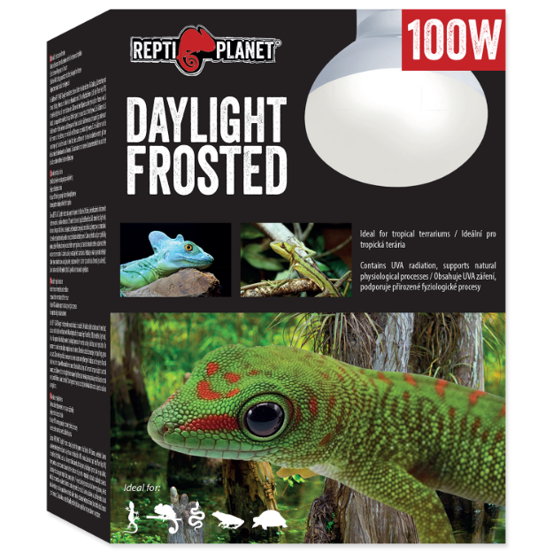 Žárovka REPTI PLANET Daylight Frosted 100W