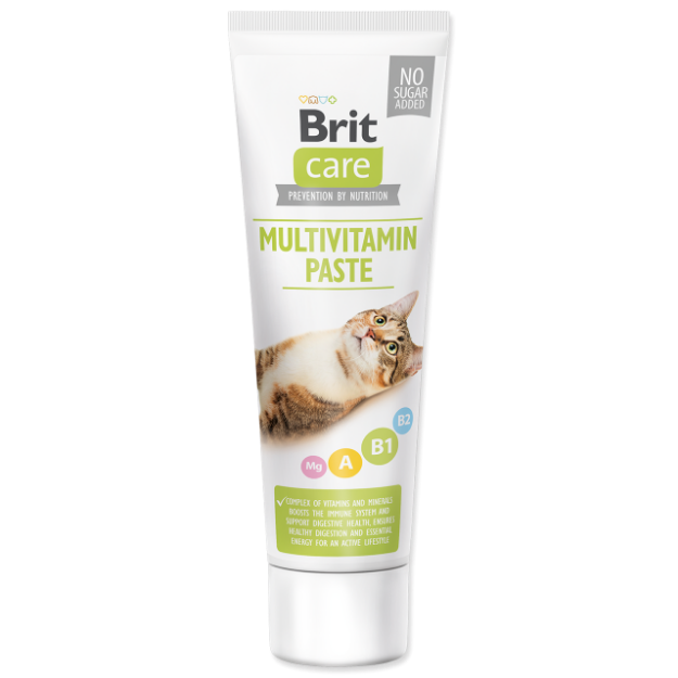 BRIT Care Cat Paste Multivitamin 100g