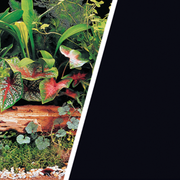 Picture of Pozadí MARINA tapeta oboustranné rostliny / černé 760 x 45 cm 7,6m